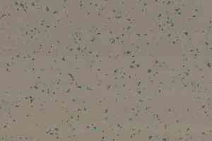 Линолеум Taralay Premium Compact Indiana 8053 ANAMBAS фото  | FLOORDEALER